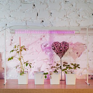 Лампа светодиодная [LED] Uniel G13 9W K