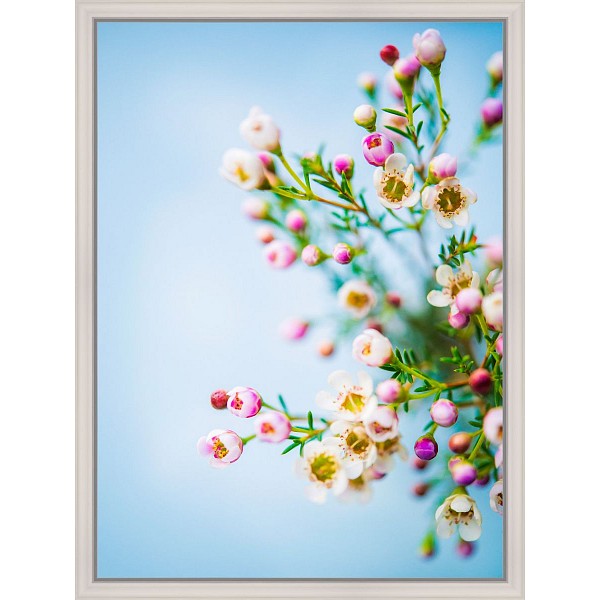 фото Картина (30х40 см) Нежные цветы BE-103-235 Ekoramka