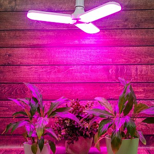 Лампа светодиодная [LED] Uniel E27 24W K