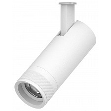 Светильник на штанге Canno Pro 304126