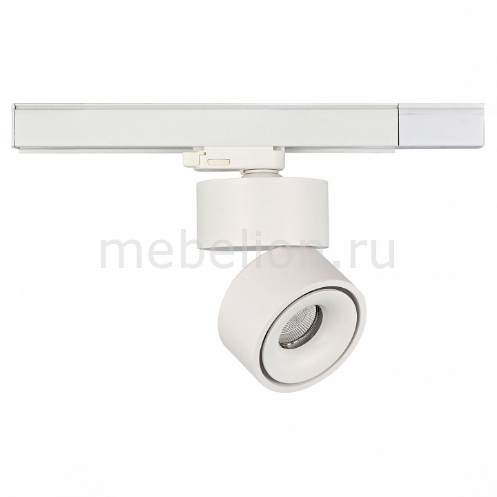 

Светильник на штанге DL1862 DL18627/01 Track W Dim