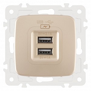 Розетка USB, без рамки 205.46-1.shampan