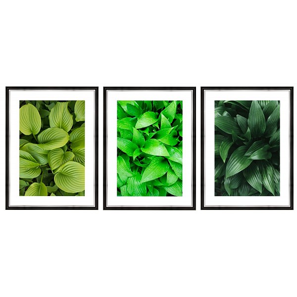 Набор из 3 картин (90x40 см) Зеленые листья BE-110-106 Ekoramka EKO_BE-110-106