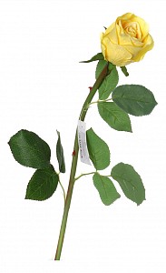 Цветок (50 см) Роза 23-268