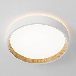 Светильник потолочный Citilux Etalon (Дания)