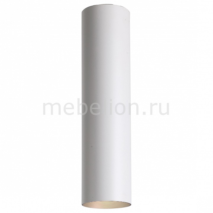 

Накладной светильник Drum 2248-1U, Drum 2248-1U