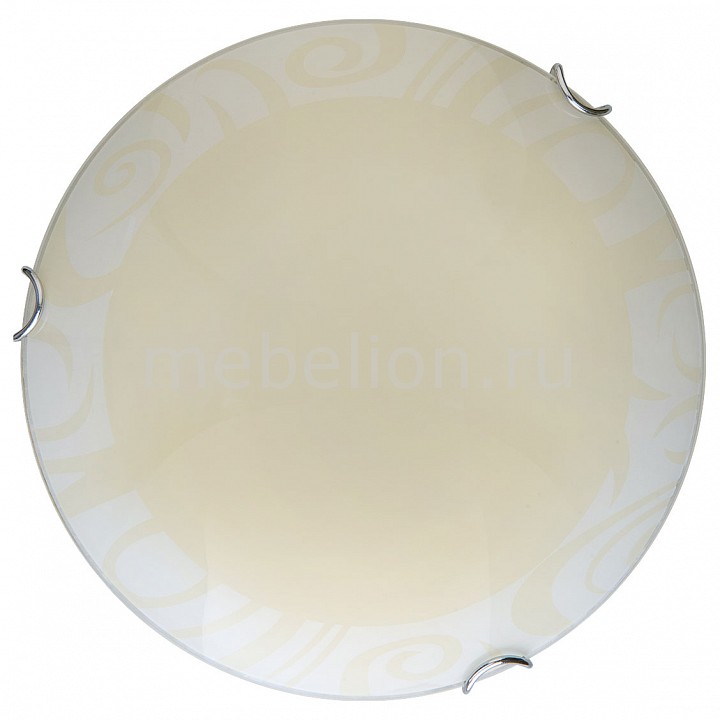 фото Накладной светильник Ginger TL9621Y-00WH Toplight