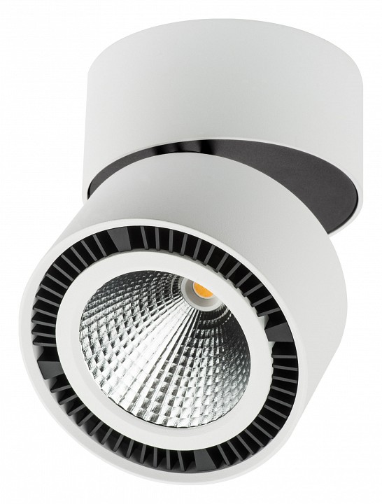 

Светильник на штанге Forte Muro LED 213830, Forte Muro LED 213830