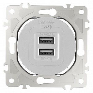 Розетка USB, без рамки 202.46-1.silver