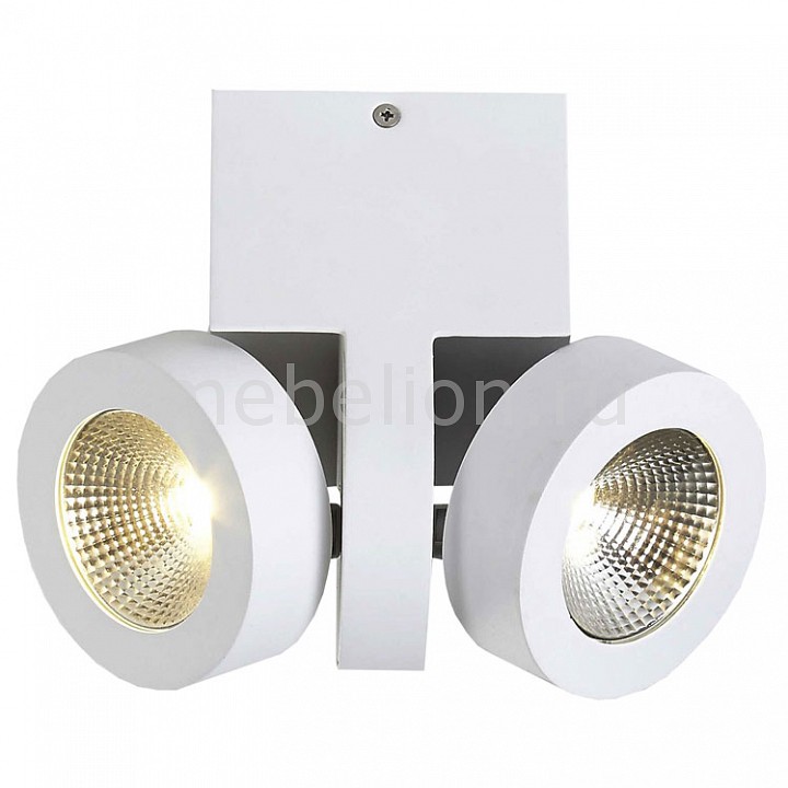 

Светильник на штанге DL18698/12WW-White, DL18698/12WW-White