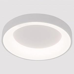 Светильник потолочный Arte Lamp None (Италия)