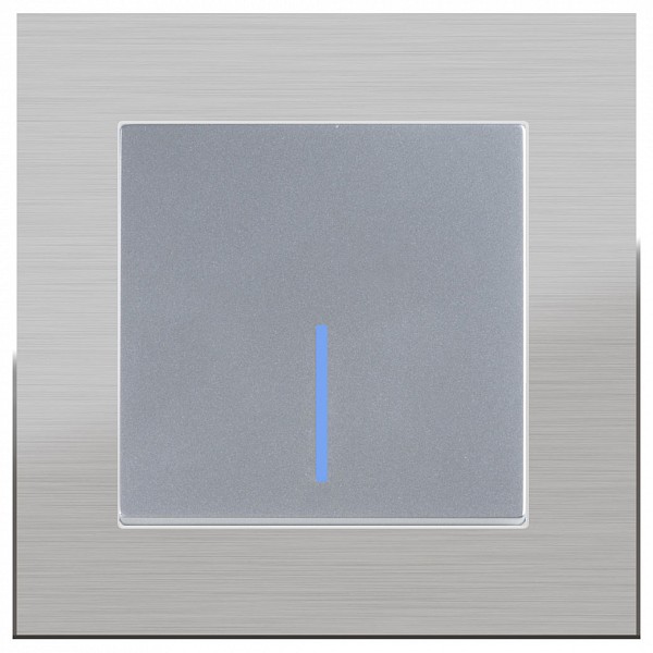 Выключатель одноклавишный с подсветкой без рамки Aluminium(Серебряный) WL06-SW-1G-C +WL06-SW-1G-LED фото