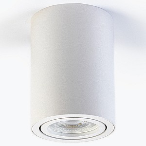 Светильник потолочный LEDS POWER SPOT (Россия)