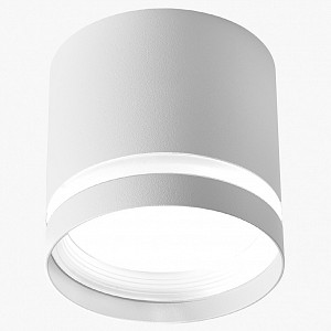 Светильник потолочный LEDS POWER SPOT (Россия)