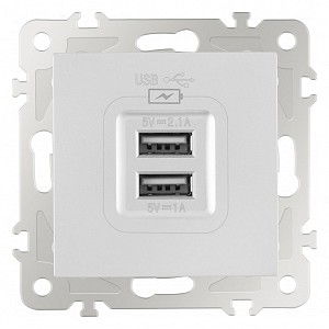 Розетка USB, без рамки 206.46-1.silver