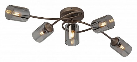 Потолочная люстра Vitaluce V2048 V2048-7/5PL (Россия)