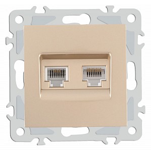 Розетка двойная RJ-11 и Ethernet RJ-45, без рамки 206.44-1.shampan