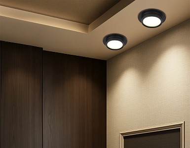 Светильник потолочный Ambrella Light TN (Россия)