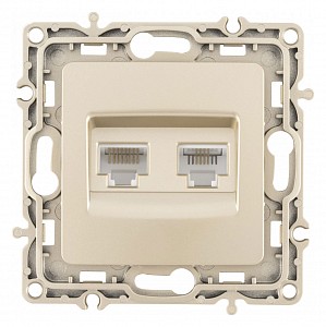 Розетка двойная RJ-11 и Ethernet RJ-45, без рамки 217.44-1.shampan