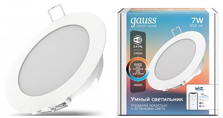 Светодиодный светильник Smart Home DIM Gauss (Китай)