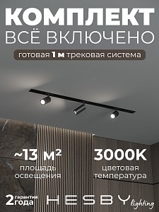 Встраиваемая однофазная трековая система Skylite №3 со светильниками (220В, форма - прямая, 1м, 3000K), черная