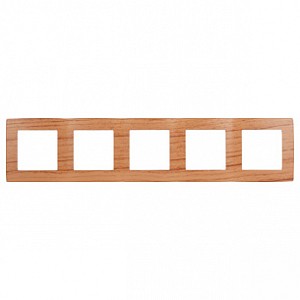 Рамка на 5 постов Эра 12 12-5005-09