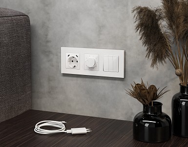 Накладка для розетки с заземлением и со шторками и 2хUSB type С ALFA AP1105