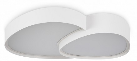 Накладной светильник Modesty FR6079CL-L72W