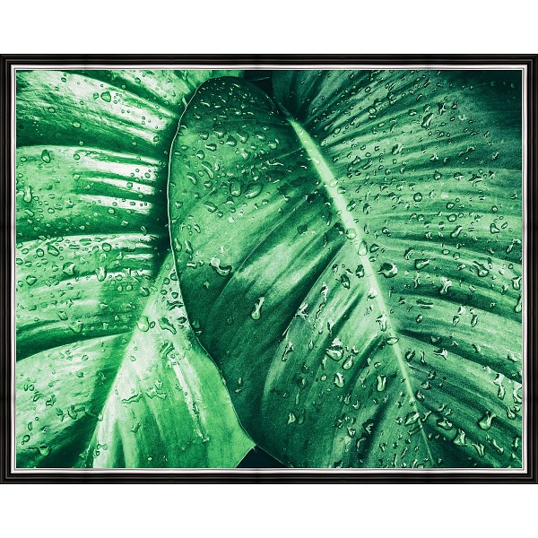 фото Картина (50х40 см) Зеленые листья BE-103-265 Ekoramka