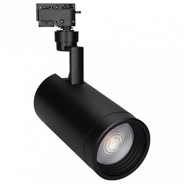 фото Светильник на штанге Lgd-Zeus LGD-ZEUS-2TR-R100-30W Warm3000 (BK, 20-60 deg) Arlight