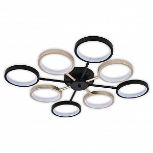 Потолочная люстра 10262/8LED