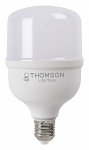 Лампа светодиодная [LED] OEM E27 30W 6500K