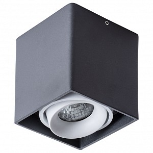 Настенно-потолочный светильник Pictor Arte Lamp (Италия)
