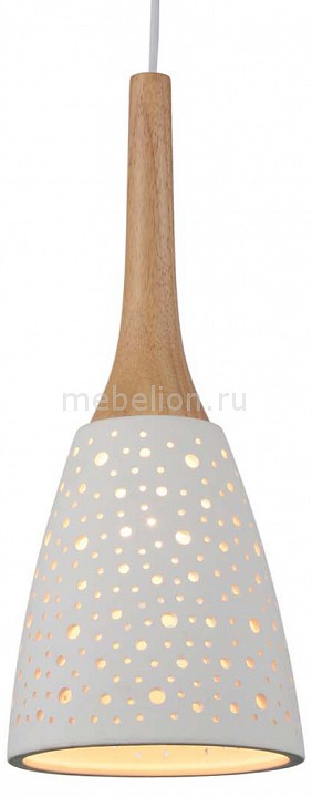 

Подвесной светильник SL288.503.01
