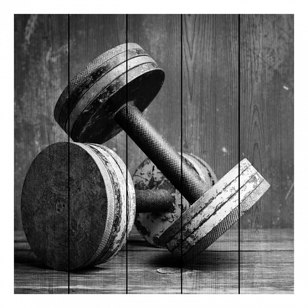 

Картина (90х90 см) Гантели DE-104-212, (90х90 см) Гантели DE-104-212, Серый