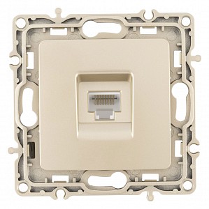 Розетка Ethernet RJ-45 без рамки 217.45-1.shampan