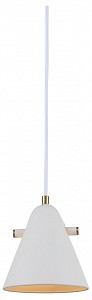 Подвесной светильник Cozy FR5211PL-01W