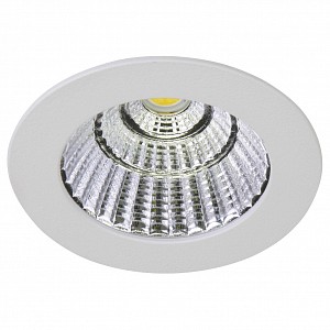 Светодиодный светильник  OEM (Россия)