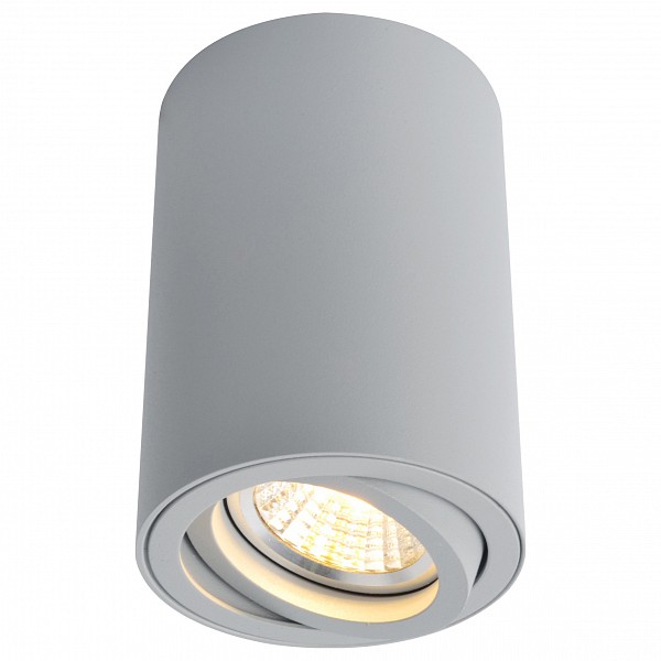 Накладной светильник 1560 A1560PL-1GY Arte Lamp AR_A1560PL-1GY