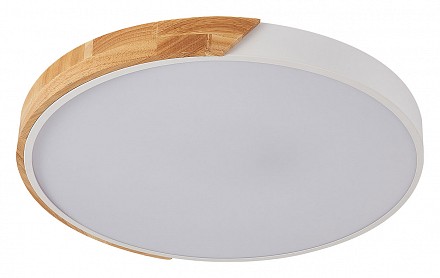 Накладной светильник Scandinavian LED LAMPS 81182