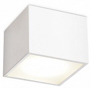 Светильник потолочный Ambrella Light TN (Россия)