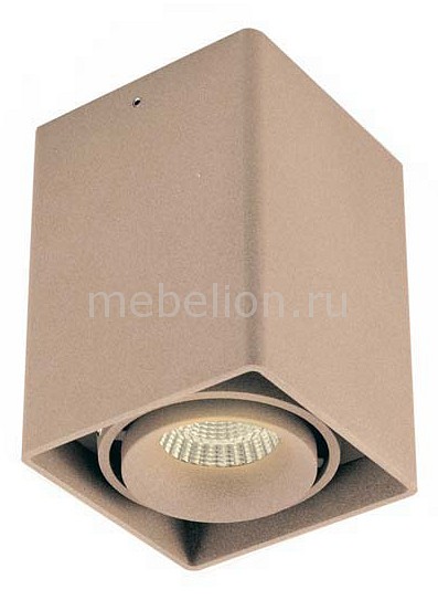 

Накладной светильник DL18611/01WW-SQ Champagne, DL18611/01WW-SQ Champagne