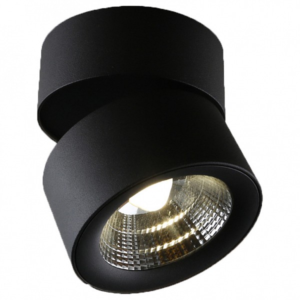 

Накладной светильник Urchin 1295/04 PL-1, Urchin 1295/04 PL-1