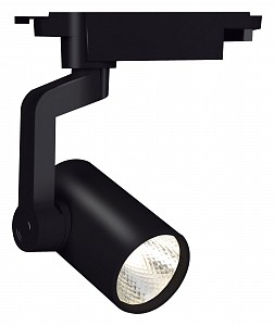 Светильник на штанге 20001 20001TRA/02LED SBK