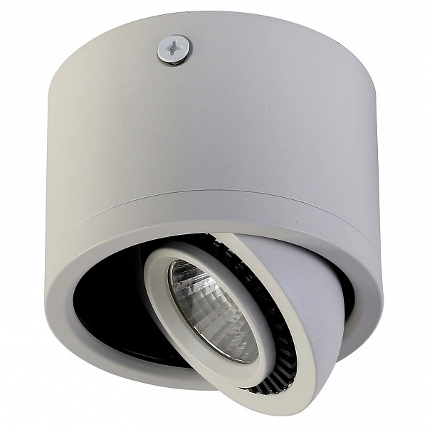 

Накладной светильник Reflector 1774-1C, Reflector 1774-1C