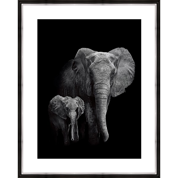 фото Картина (40х50 см) Слон и слоненок BE-103-319 Ekoramka