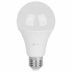 Лампа светодиодная [LED] Эра E27 30W 3000K