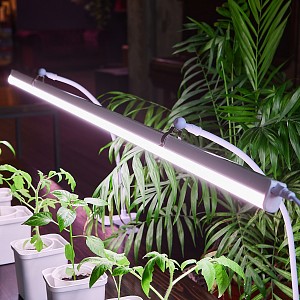 Настенный светильник 3153578