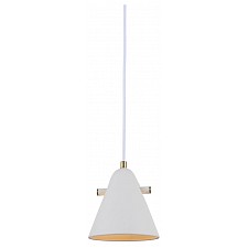 Подвесной светильник Cozy FR5211PL-01W