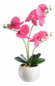 Растение в горшке (44 см) Розовая орхидея YW-39